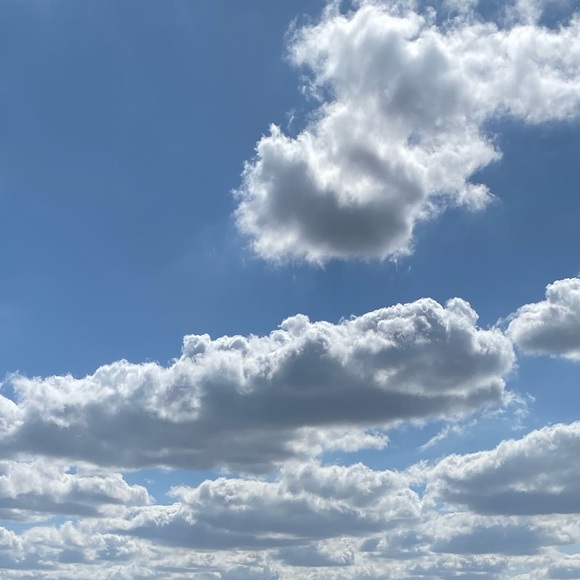 Meet your Posher, Anggie - Picture 1 of 1